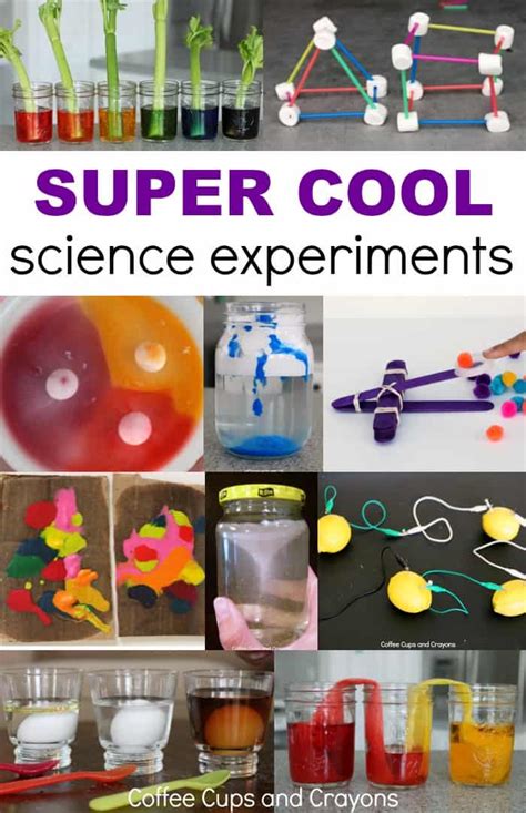 fun science experiments  simple home materials fun guest