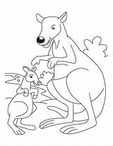 Kangaroo Kanguru Mewarnai Australien Ausmalbilder Anak Getcolorings Tk Paud Letzte Kreatifitas Meningkatkan Jiwa Bermanfaat Semoga Bestcoloringpages sketch template