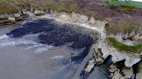 wavecut platform  flamborough internet geography