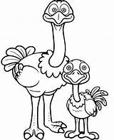 Ostrich Avestruz sketch template