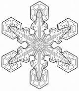 Coloring Pages Adults Adult Mandala Holiday Snowflake Printable Transparent Print Color Mental Getdrawings Nourish Simple Comments sketch template