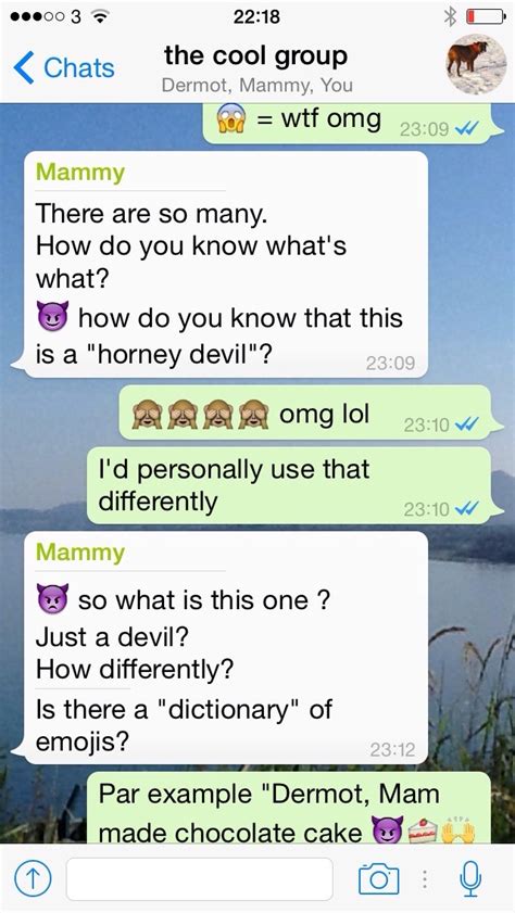 pic irish mam struggles  understand emojis  sends   racy