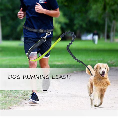 dierbenodigdheden nylon running leads hond tractie riem hond running leash reflecterende