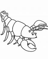 Crayfish Topcoloringpages sketch template