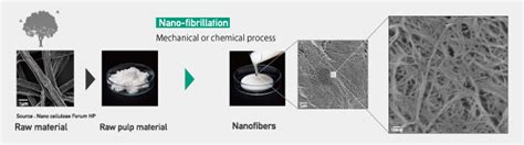 What Is Cellulose Chitin And Chitosan Nanofiber Sugino Machine