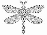 Dragonfly Coloring Adults Vector Outline Adult Illustration Book Drawing Stock Raster Zentangle Stress Anti Lines Lace Style Shutterstock Pattern Preview sketch template