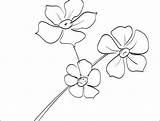 Forget Coloring Flower Printable Getdrawings Getcolorings sketch template