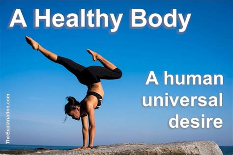 healthy body  quest   humans