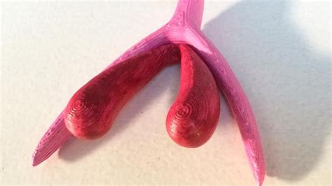 sex education clitoris mega dildo insertion