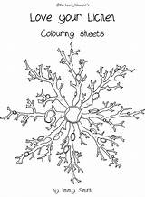 Lichens Lichen Sheets Designlooter sketch template