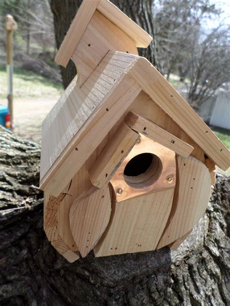 pin  awesome aviaries  bird house building modern woodworking plans wren house