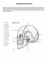 Labeling sketch template