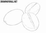 Draw Beans Coffee Drawingforall Work These Two Horizontal Bobos Uneven Convey Jagged Texture Lines Short sketch template