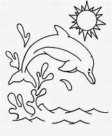 Golfinhos Pintar Delfines Splash Golfinho Riscos Animais Designlooter sketch template