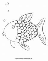 Regenbogenfisch Ausmalbild Fisch Fische Ausmalen Ausdrucken Kostenlos Malvorlagen Malvorlage Coloring Schuppen Kinderbilder Fernsehen Sommer Einzigartig Gemerkt Mandalas Bildern Fischlexikon Porzellanmalerei sketch template