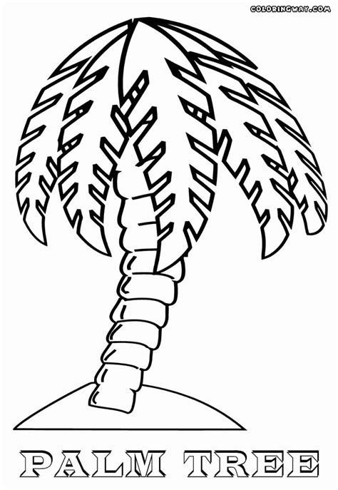 palm leaf coloring page lovely palm tree coloring pages