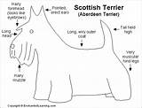 Scotty Terrier Scottish Dog Scottie Enchantedlearning Aberdeen Color Outline sketch template