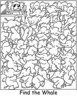 Coloring Pages Hidden Dover Find Color Publications Visual Printable Spark Waldo Colouring Where Activities Adult Discrimination Silly Sea Life Puzzles sketch template