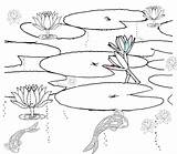 Pond Coloring Pages Animals Habitat Printable Drawing Fish Scene Sketch Plants Ponds Habitats Color Lily Print Getdrawings Getcolorings Sketchite Embroidery sketch template