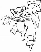 Tree Cat Coloring Pages Clipart Sitting Branch Branches Friends Clip Kids Happy Climbed Colouring Cats Sheets Animal Climbing Clipground Buzzard sketch template