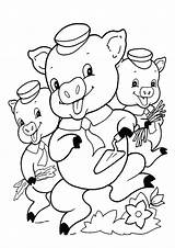 Little Three Coloring Pigs Pages Books sketch template