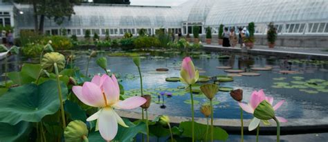 beautiful    sonnenberg gardens select registry