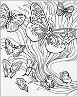 Coloring Butterfly Homeless Children Expose Homelessness sketch template