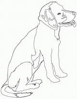 Coloring Pages Beagle Puppy sketch template