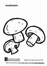 Mushroom Coloring Large sketch template
