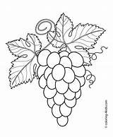 Coloring Pages Grapes Leaves Leaf Trauben Printable Kids Berries Fruits 4kids sketch template