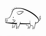 Boar Coloring Animals Drawing Printable Pages Kb Getdrawings sketch template