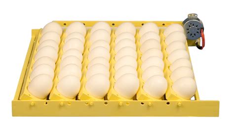 hova bator automatic egg turner  backyard chickens learn