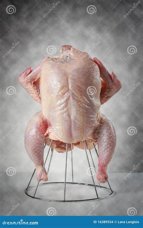 fresh uncooked chicken stock images image