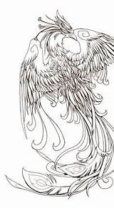 Phoenix Tattoo Coloring Pages Fenice Fenix Drawing Color Bird Ave Outline Japanese Grayscale Tattoos Designs Tatouage Tatuaje Per Drawings Printable sketch template