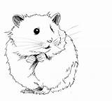 Hamster Clipart Drawings Cute Clip Outline Drawing Cliparts Hamsters Cartoon Easy Animal Simple Color Gerbils sketch template
