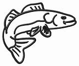 Walleye Drawing Outline Designs Cartoon Clip Crappie Fish Cliparts Draw Clipart Easy Drawings Embroidery Slam Grand Getdrawings Embroiderydesigns Result Attribution sketch template