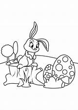 Osterhase Pasqua Auf Pascua Uova Malvorlage Eier Ausdrucken Coniglietto Huevos Osterhasen Ostereiern Malvorlagen Pasen Ostern Conejito Baumstumpf Schaut Bunny Malen sketch template