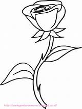 Mewarnai Mawar Bunga Roses Paud Aneka Clipartmag Macam Berbagai sketch template