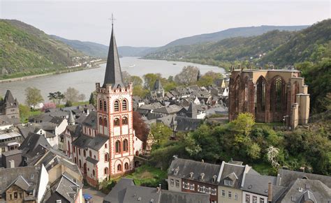 rhine river germany tangled   food