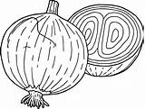 Onion Coloring Pages Drawing Kids Onions Vegetable Vegetables Coloringbay Getdrawings Carrots Broccoli Popular Pumpkins Pepper sketch template