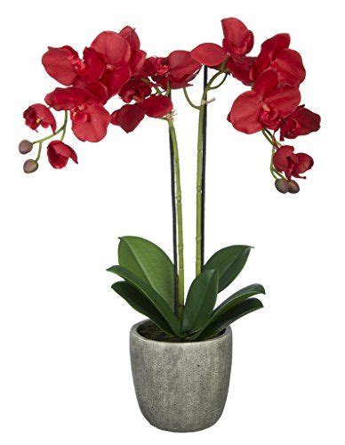 Double Stem Orchid In Gray Stone Look Vase Color Red Hou