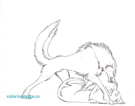 wolf love drawing  getdrawings