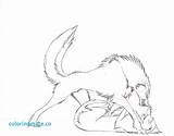 Wolves Wolf Coloring Pages Anime Fighting Fight Drawing Draw Two Getdrawings sketch template