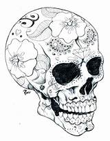 Dead Coloring Pages Skulls Skull Human Getcolorings Print Getdrawings Color sketch template