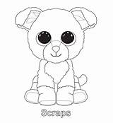 Coloring Beanie Boo Pages Rocks Ty sketch template