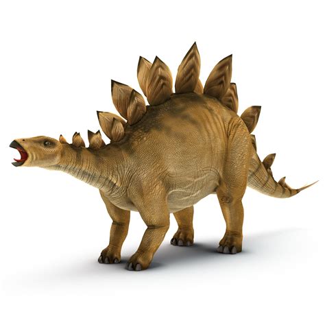 stegosaurus rigged  model
