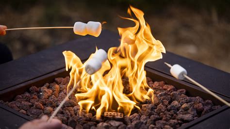type  stick    roasting marshmallows