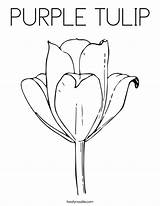 Coloring Purple Tulip Drawing Saxifrage Flower Template sketch template