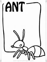 Coloring Ants Printable Pages sketch template