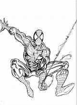 Spiderman Gratuit Spectacular Superheroes Imprimé Dessins Vectorified Fois sketch template